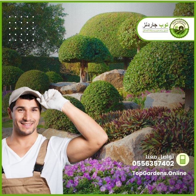 خدمة زراعة الأشجار والورود والنخيل - توب جاردنز